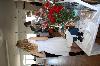 components/com_spgm/spgm/gal/Camilla_konf/_thb_2015CamillaKonf_032.JPG