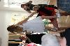 components/com_spgm/spgm/gal/Camilla_konf/_thb_2015CamillaKonf_141.JPG