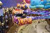 components/com_spgm/spgm/gal/Disneyland/_thb_024.JPG