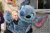 components/com_spgm/spgm/gal/Disneyland/_thb_032.JPG