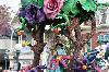 components/com_spgm/spgm/gal/Disneyland/_thb_074.JPG