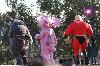 components/com_spgm/spgm/gal/Disneyland/_thb_081.JPG