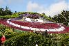 components/com_spgm/spgm/gal/Disneyland/_thb_089.JPG
