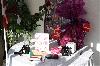 components/com_spgm/spgm/gal/Nina_konf/_thb_Nina_konf%20018.JPG